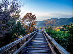 Onsen & Beach auf der Izu-Halbinsel, 4 Tage