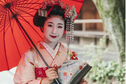 Japan auf neuen Wegen