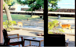 Ryokan Miyajima Seaside