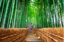 Vielfältiges Japan, 14 Tage