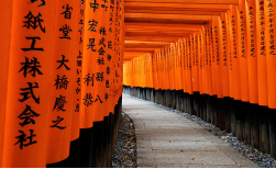 The Golden Route, 9 Tage
