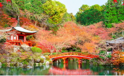 Unterwegs mit der Bahn - Japan mit dem Zug entdecken, 14 Tage
