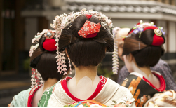 Kontrastreiches Japan, 15 Tage