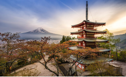 Gruppenreise "Geisha", 13 Tage