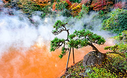 Beppu