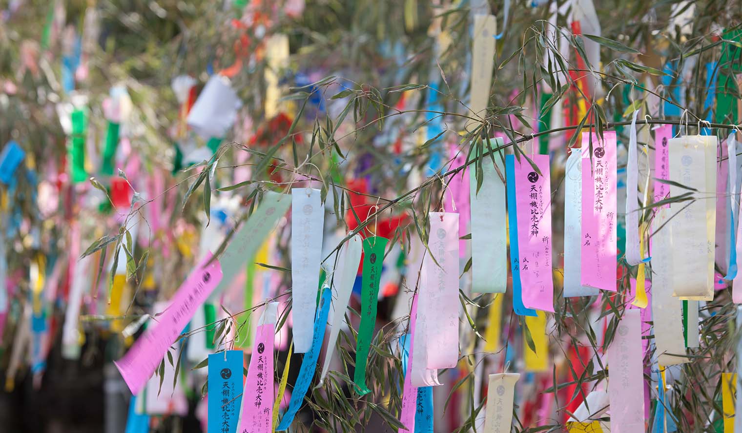 Wunschzettel am Baum in Japan