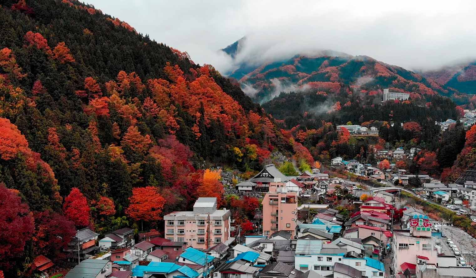 Koyo rote Herbstblätter in Japan