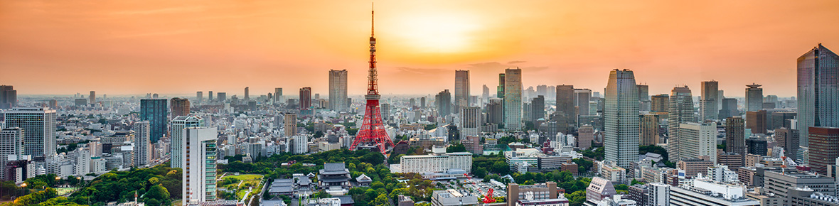 skyline-tokyo-reisen