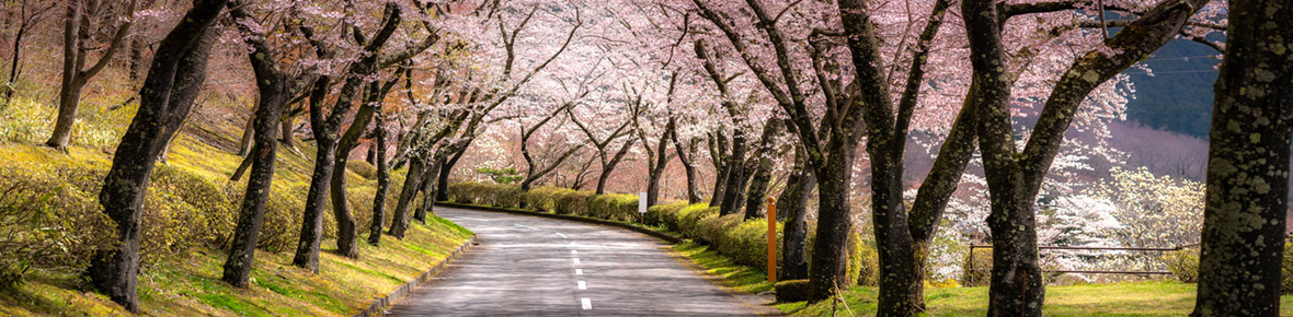 Japan Mietwagenrundreisen